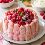 Charlotte aux framboises et biscuits roses - Facile fait maison